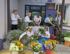 Новости и события ТЦСОН